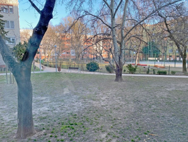 Allende park-budapest-xi-kerulet-allende-park_9.jpg